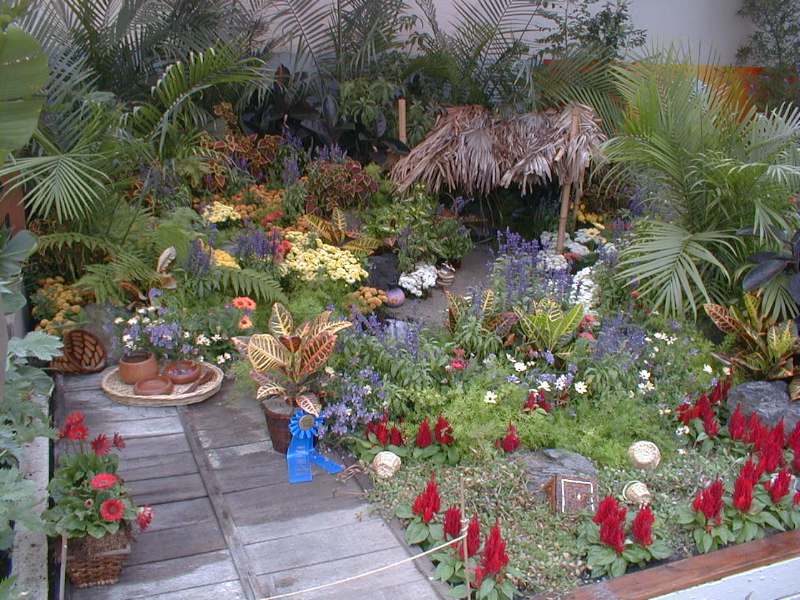 Image-3D10E07B005B11D8