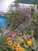 Image-3D10982D005B11D8