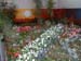 Image-3D111AA4005B11D8