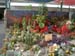 Image-3D1148FB005B11D8