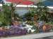 Image-3D115EF6005B11D8