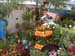 Image-3D1174C7005B11D8