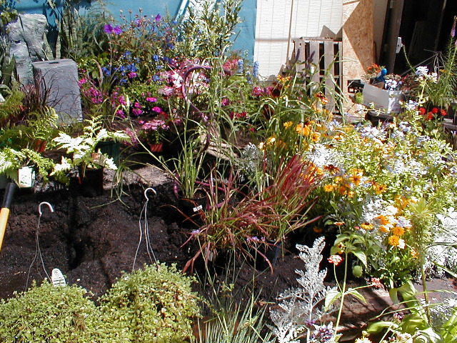 The meadow comes together
