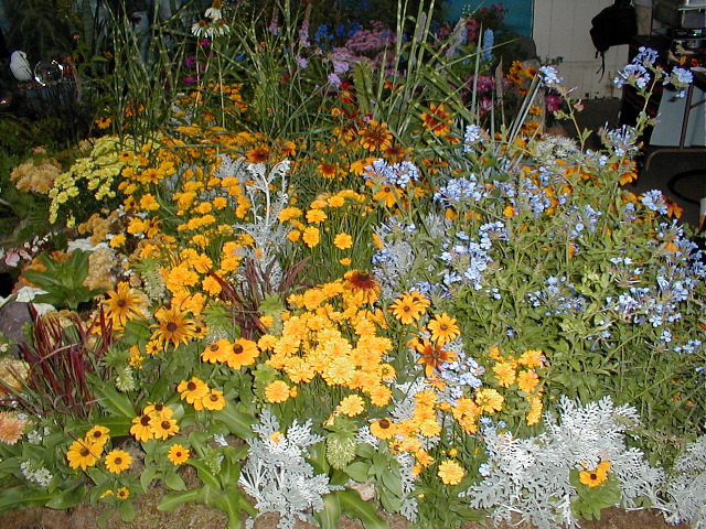 Merlin's Meadow