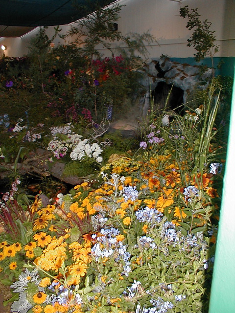 Merlin's Meadow