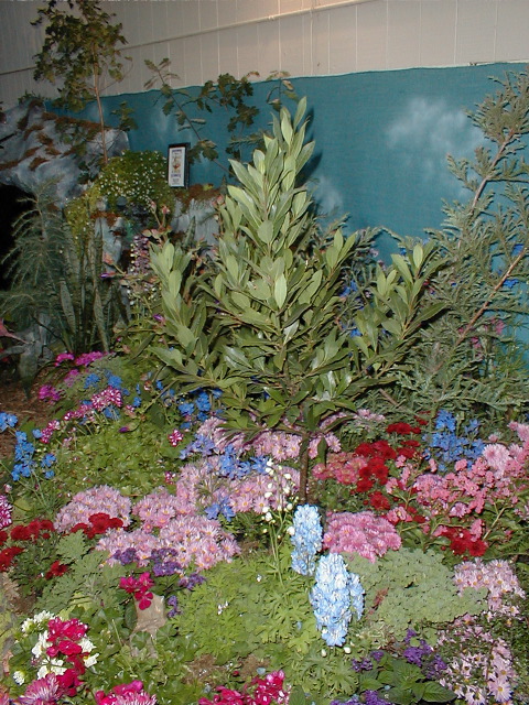 Merlin's Meadow