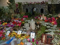 Galahad's Glen