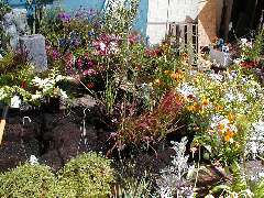 The meadow comes together