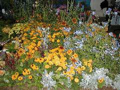 Merlin's Meadow