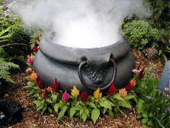The Cauldron