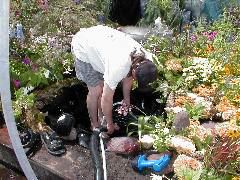 Bruce has one more water feature