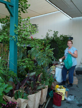 2005fairgarden003