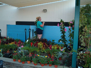 2005fairgarden004