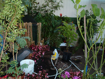 2005fairgarden006