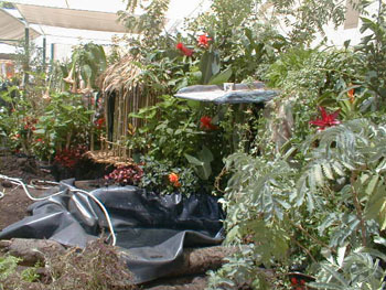 2005fairgarden009