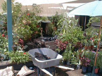 2005fairgarden011