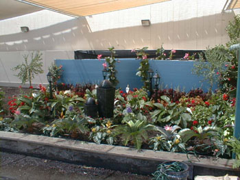 2005fairgarden012