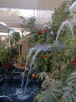 2005fairgarden013