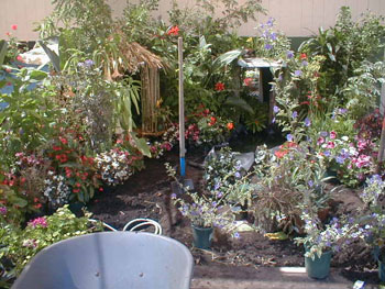 2005fairgarden015