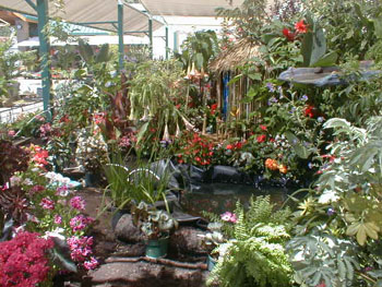 2005fairgarden016