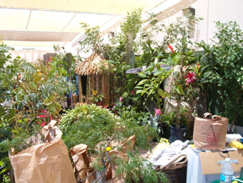 2005fairgarden017