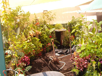 2005fairgarden021
