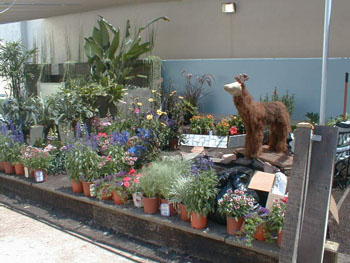 2005fairgarden023