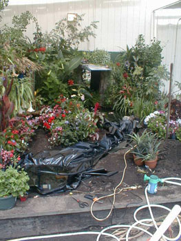 2005fairgarden025