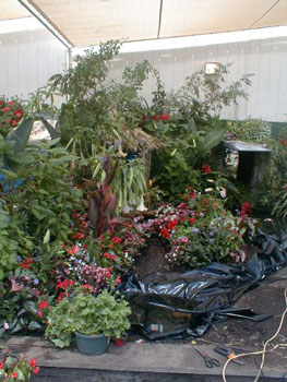 2005fairgarden026