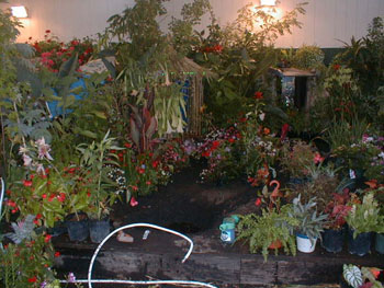 2005fairgarden027