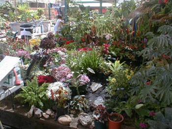 2005fairgarden029
