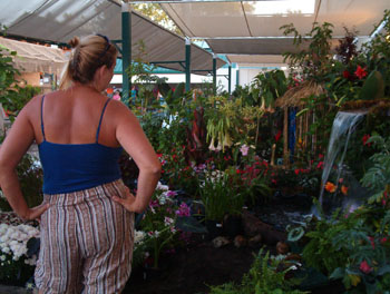 2005fairgarden030