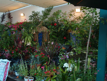 2005fairgarden031