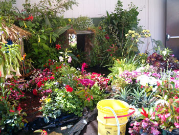 2005fairgarden035