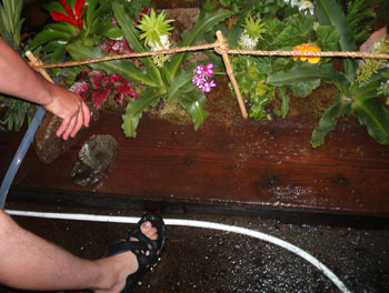 2005fairgarden040