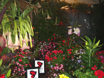 2005fairgarden072