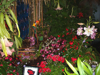 2005fairgarden073