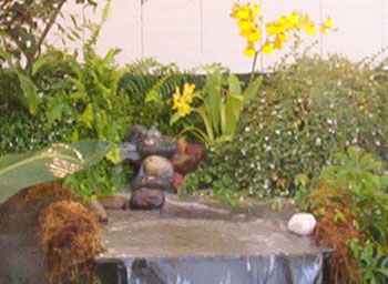 2005fairgarden094