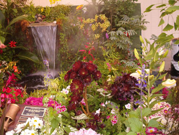 2005fairgarden095