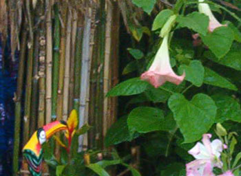 2005fairgarden099
