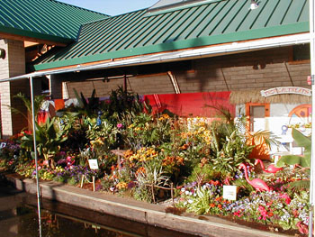2005fairgarden104