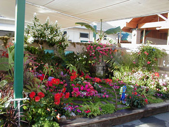 2005fairgarden105