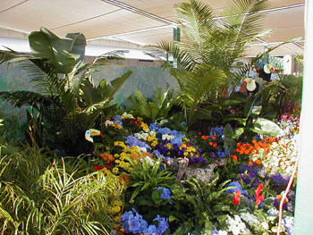 2005fairgarden108