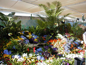 2005fairgarden109