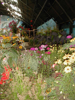 2005fairgarden127