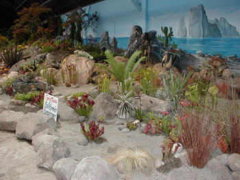 2005fairgarden129