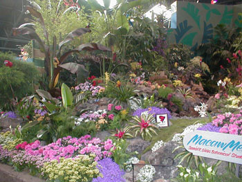 2005fairgarden139