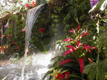 2005fairgarden156