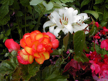 2005fairgarden159