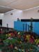 2005fairgarden007